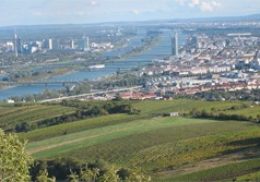 Wein in Wien
