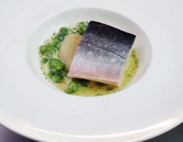 In Kräuteröl pochierter Alpenlachs auf Topinamburpüree mit Fèven In Kräuteröl pochierter Alpenlachs auf Topinamburpüree mit Fèven