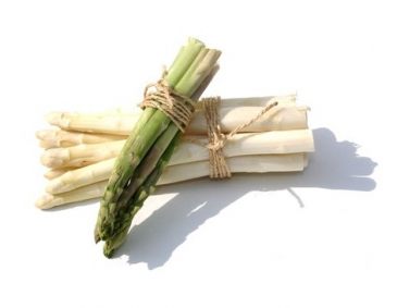 Spargel Rezepte