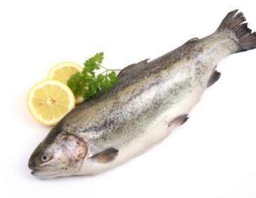 Die besten Süßwasser Fisch Rezepte - ichkoche.at
