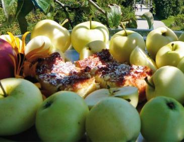 Topfen-Apfel-Schnitten Topfen-Apfel-Schnitten