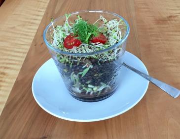 Linsensalat Linsensalat