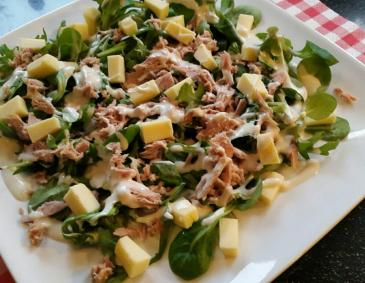 Thunfisch auf Vogerlsalat Thunfisch auf Vogerlsalat
