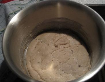 Sauerteig Sauerteig