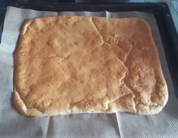 Biskuitteig mit Vanille Biskuitteig mit Vanille