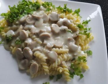 Champignon-Rahm-Nudeln Champignon-Rahm-Nudeln