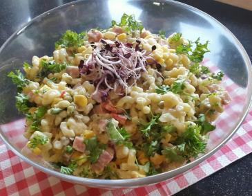 Nudelsalat mit Honig-Thymian Mayonnaise Nudelsalat mit Honig-Thymian Mayonnaise