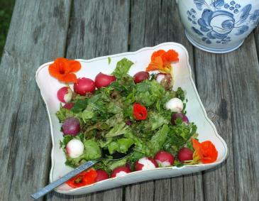 Asia-Pflücksalat Asia-Pflücksalat