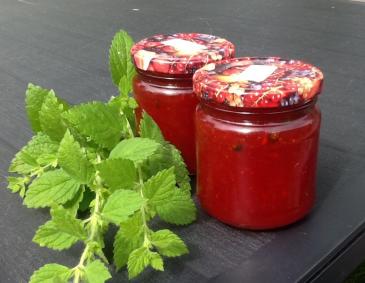 Pfeffrige Erdbeermarmelade mit Zitronenmelisse Pfeffrige Erdbeermarmelade mit Zitronenmelisse