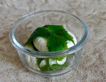 Ricotta selbst machen Ricotta selbst machen