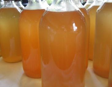 Holunderblütensirup Holunderblütensirup