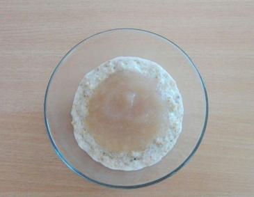 Porridge mit Apfelmus Porridge mit Apfelmus