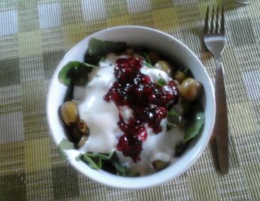 Rucolasalat mit Joghurdressing Rucolasalat mit Joghurdressing