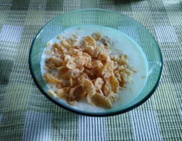 Bananen-Kokos-Bowl Bananen-Kokos-Bowl