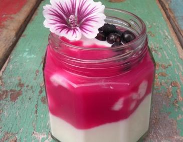 Joghurt mit Felsenbirnen-Püree Joghurt mit Felsenbirnen-Püree