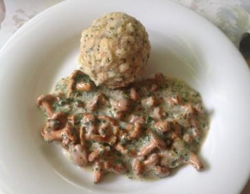 Semmelknödel mit Eierschwammerlsauce Semmelknödel mit Eierschwammerlsauce