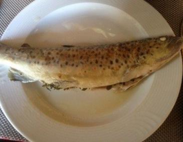 Gegrillte Forellen Gegrillte Forellen