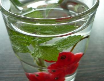 Aromatisiertes Wasser Aromatisiertes Wasser