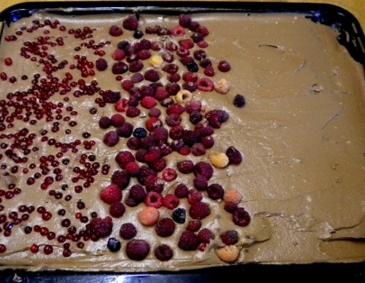 Schoko-Beerenkuchen Schoko-Beerenkuchen