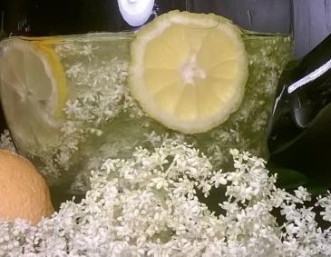 Holundersirup Holundersirup