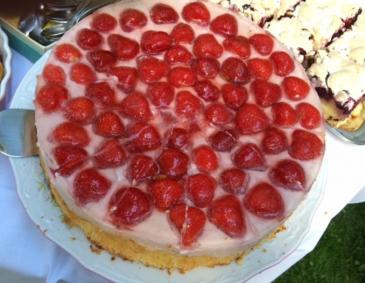 Joghurt-Erdbeertorte Joghurt-Erdbeertorte