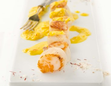 Jakobsmuscheln mit Safransauce Jakobsmuscheln mit Safransauce