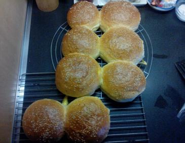 Hamburger Buns Hamburger Buns