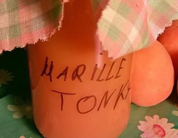 Marillen-Tonkabohnen-Marmelade Marillen-Tonkabohnen-Marmelade