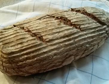 Dinkel-Roggenbrot Dinkel-Roggenbrot