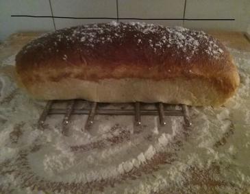 Milchbrot Milchbrot
