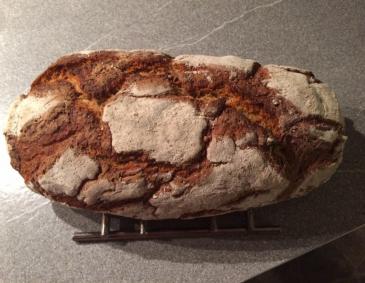 Dinkel-Sauerteigbrot Dinkel-Sauerteigbrot