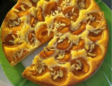 Marillenkuchen Marillenkuchen