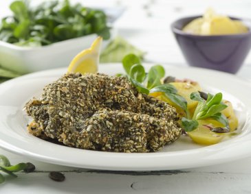 Kalbsschnitzel in Kürbiskernpanier Kalbsschnitzel in Kürbiskernpanier