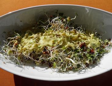 Sprossensalat mit Currydressing Sprossensalat mit Currydressing