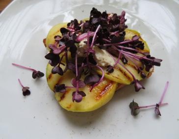 Apfeltoast mit Krenfrischkäse und Sprossen Apfeltoast mit Krenfrischkäse und Sprossen
