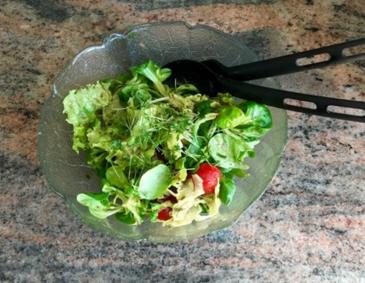 Gartensalat Gartensalat