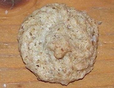 Nussbusserl mit Marzipan Nussbusserl mit Marzipan