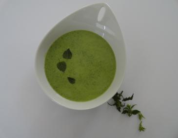 Brennnesselsuppe Brennnesselsuppe