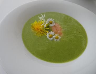 Kräutercremesuppe Kräutercremesuppe