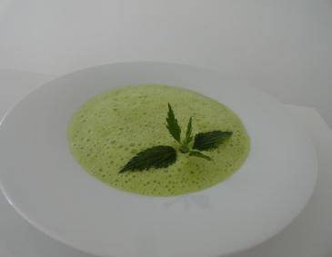 Brennnessel-Schaumsuppe Brennnessel-Schaumsuppe