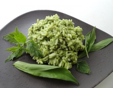 Risotto mit Frühlingskräutern Risotto mit Frühlingskräutern