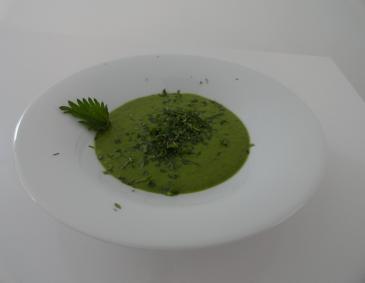 Brennesselsuppe Brennesselsuppe