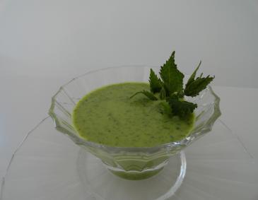 Selbst gemachte Brennesselsuppe Selbst gemachte Brennesselsuppe