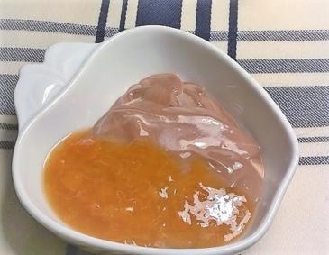 Schokoladenjoghurt mit Vanille-Marillensauce Schokoladenjoghurt mit Vanille-Marillensauce