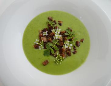 Brunnenkressesuppe Brunnenkressesuppe