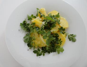 Erdapfel-Brunnenkresse-Salat Erdapfel-Brunnenkresse-Salat