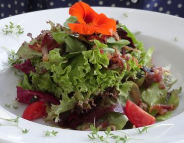 Grüner Salat mit Speck und Pilzen Grüner Salat mit Speck und Pilzen