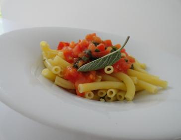 Penne mit Tomaten Penne mit Tomaten