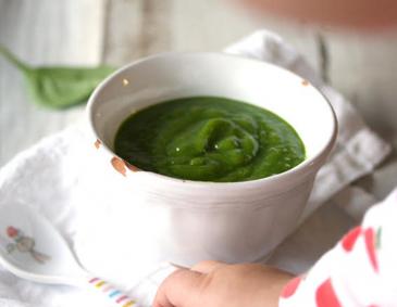 Grüner Smoothie für Babys Grüner Smoothie für Babys
