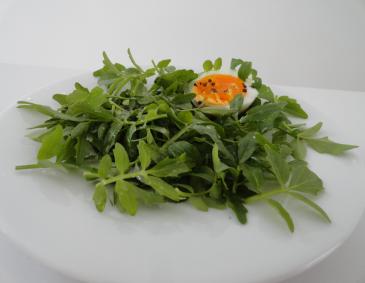 Brunnenkresse-Salat Brunnenkresse-Salat